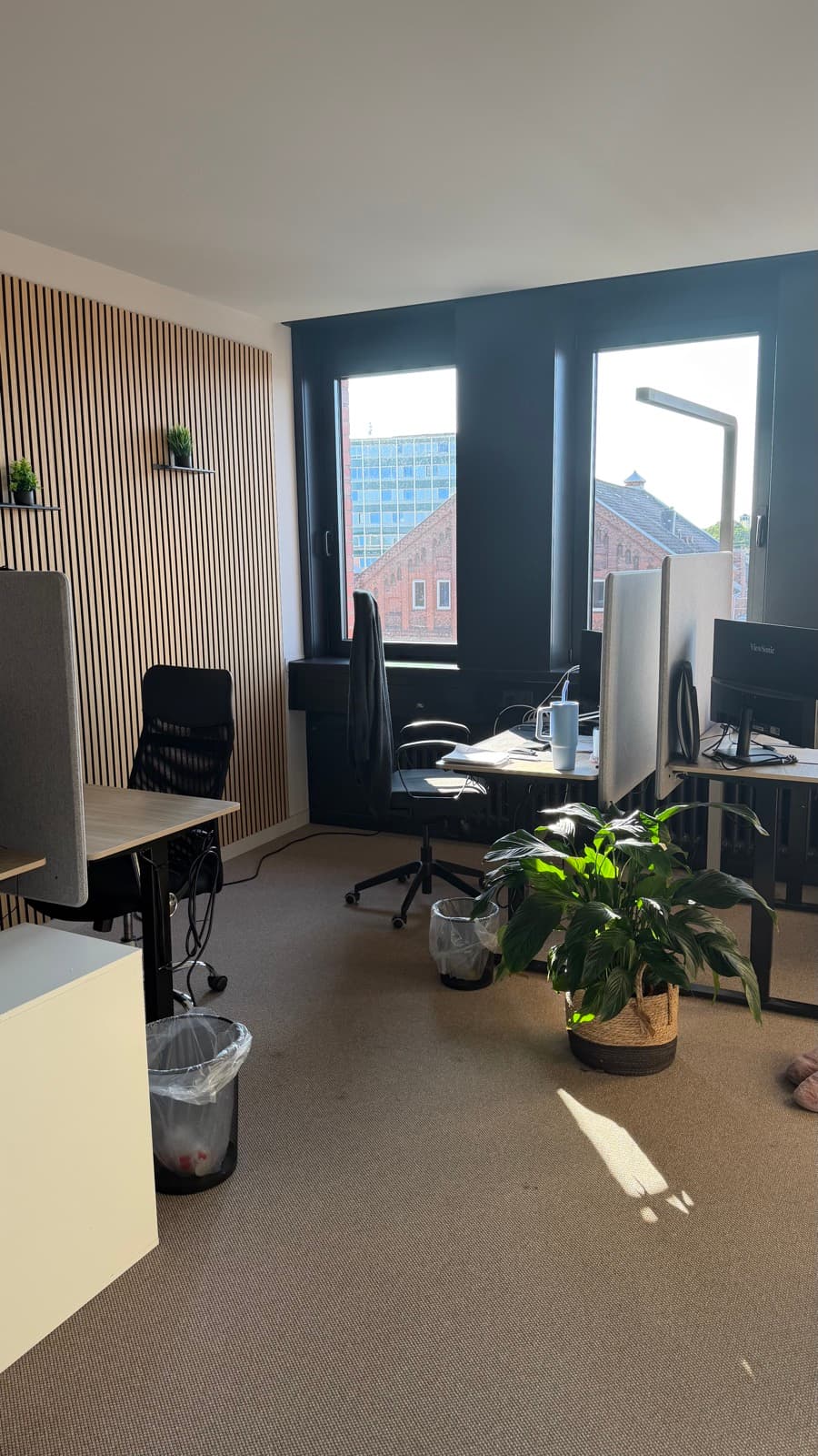 Arbeitsplätze im Investforwomen Büro mit Holzlamellenwand und Blick über Kiel